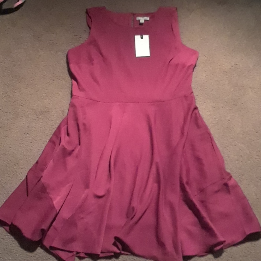 Dana Buchman Dress